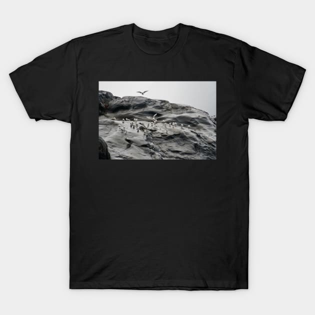 birds at Greenland T-Shirt by Sturmlechner